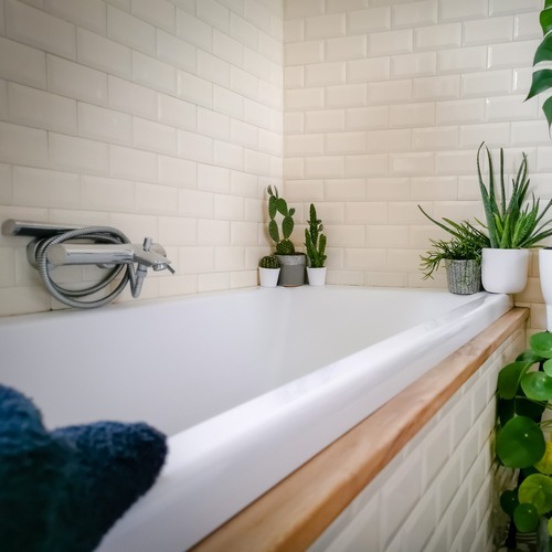 bathtub surrounded by potted plants